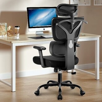 Winrise Office Chair