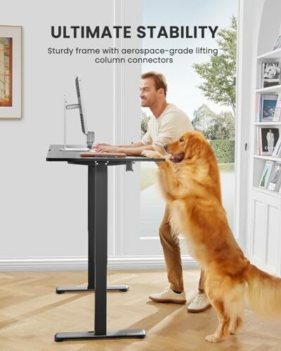 ErGear Electric Standing Desk